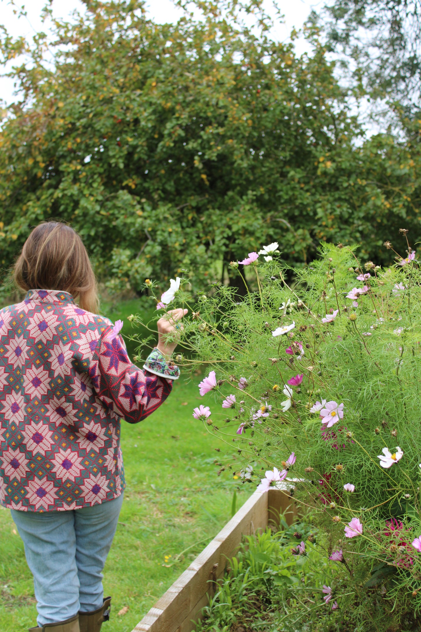 Purple Star Kantha Jacket